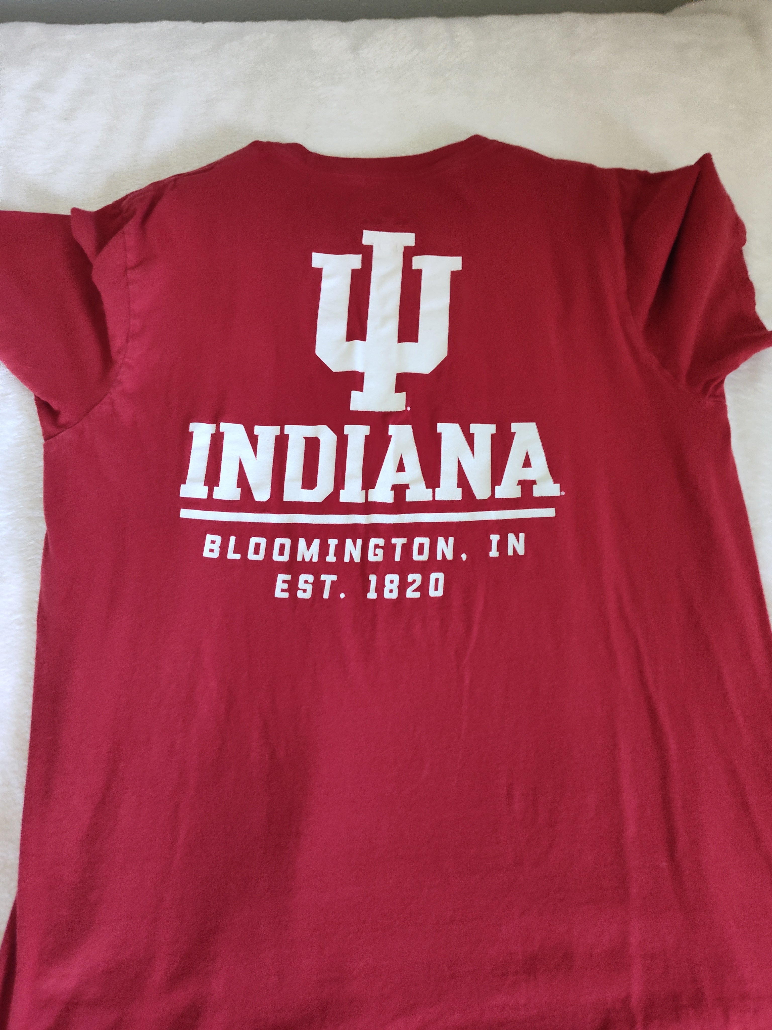 Pre-Loved Men's Indiana Graphic Tee — Size Large